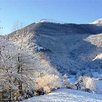 Vive la neige!