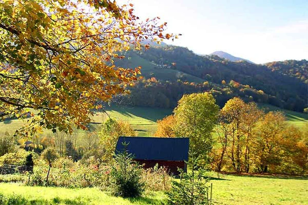 Vue depuis la balançoire