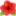 🌺