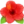 🌺