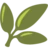 🌿